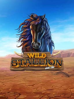SL_WildStallion