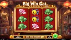 Big Win Cat - Gameplay Image