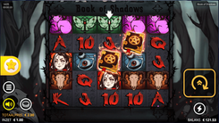 Book of Shadows - Gameplay Image