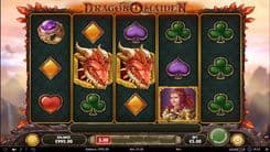 Dragon Maiden - Gameplay Image