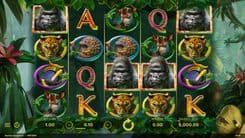 Gorilla Kingdom - Gameplay Image