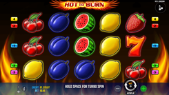 Hot to Burn - Gameplay Image