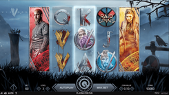Vikings Video Slot - Gameplay Image
