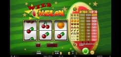 Wild Melon - Gameplay Image