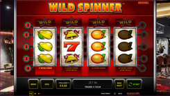Wild Spinner Casino - Gameplay Image