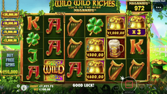 Wild Wild Riches - Gameplay Image