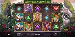 Wonderland Wilds - Gameplay Image